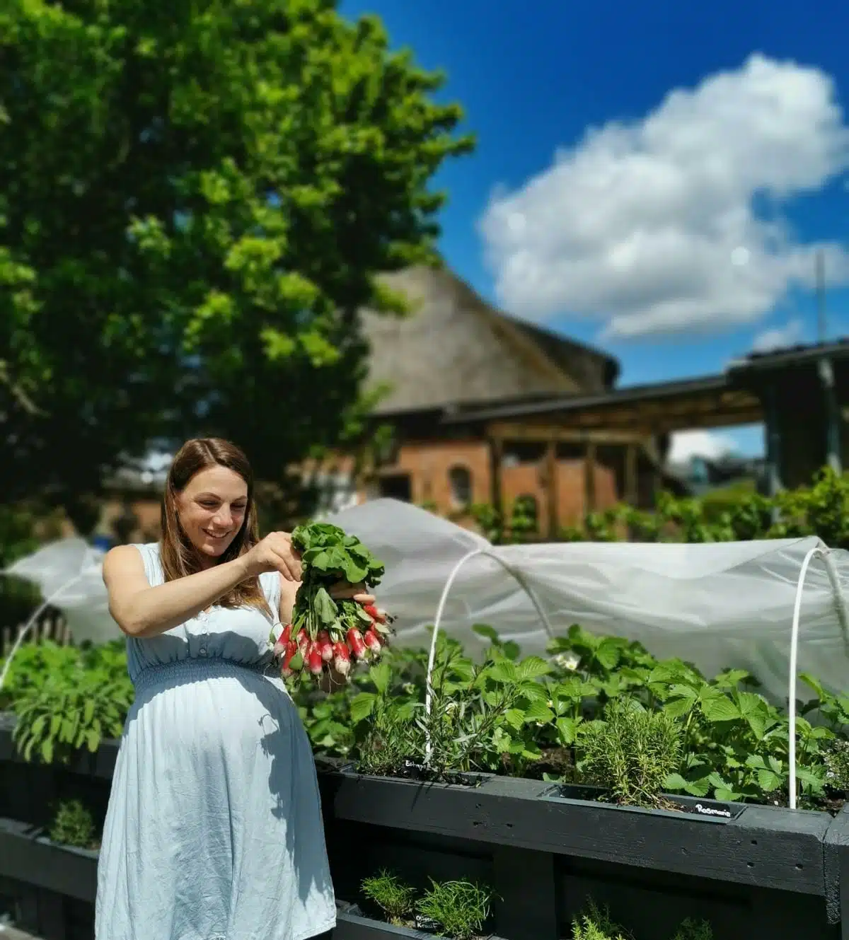 hochbeet-aus-europaletten-ernte-garten-beet