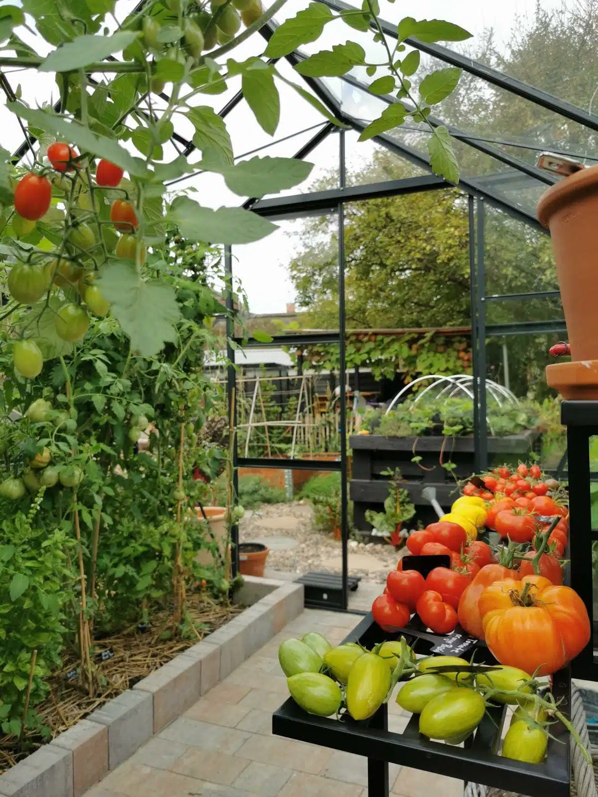 hochbeet aus paletten selber bauen diy anleitung befuellung bepflanzen ideen anlegen schichten