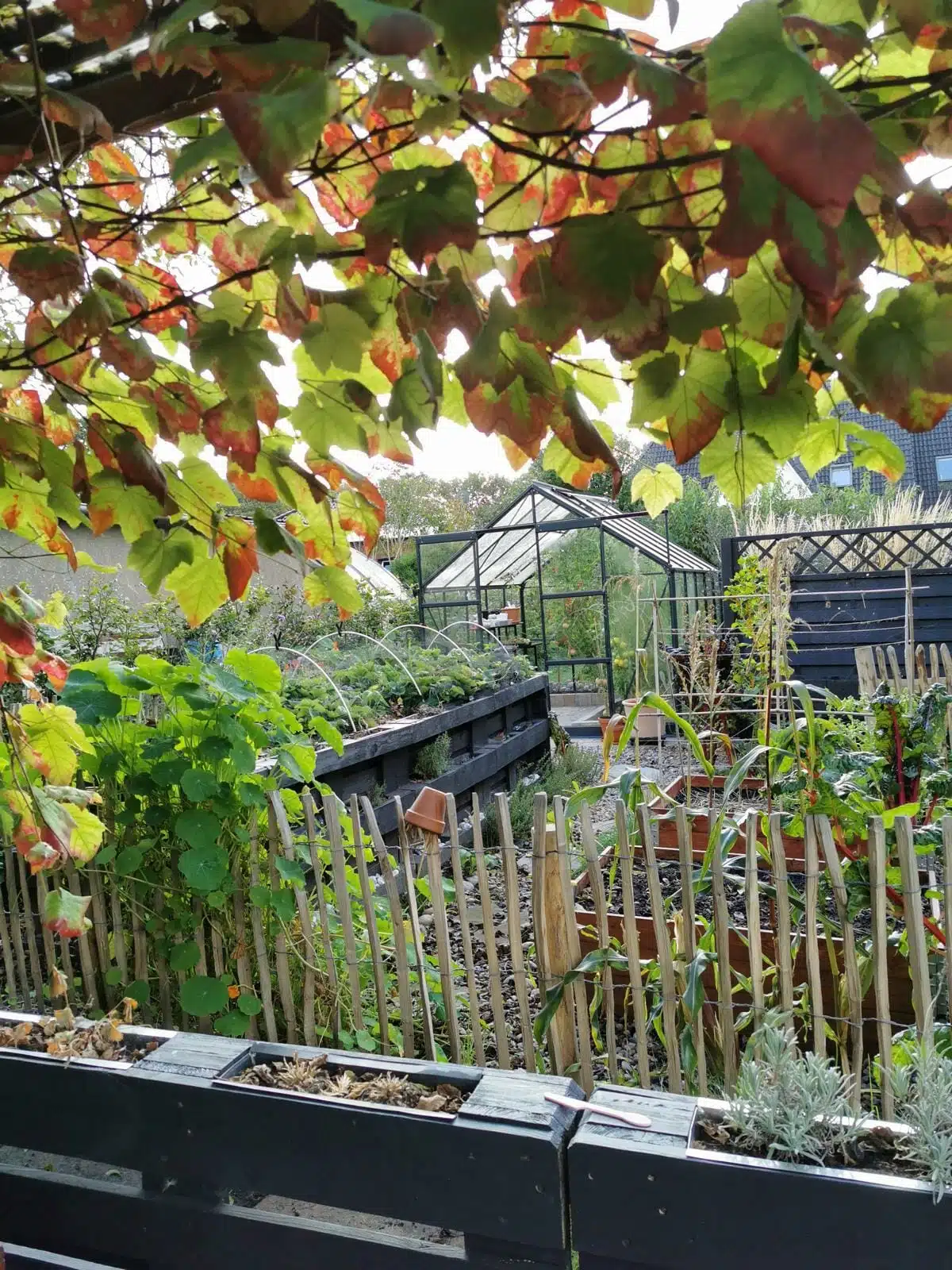 hochbeet aus paletten selber bauen diy anleitung befuellung bepflanzen ideen anlegen schichten