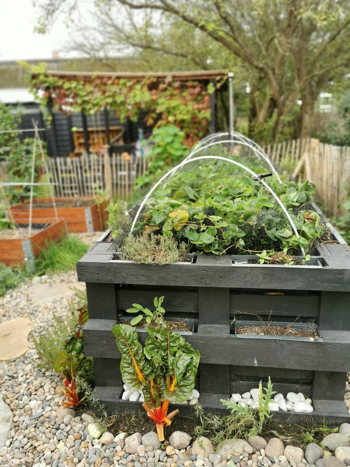 hochbeet aus paletten selber bauen diy anleitung befuellung bepflanzen ideen anlegen schichten