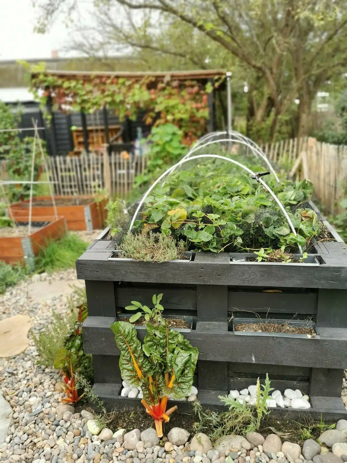 hochbeet aus paletten selber bauen diy anleitung befuellung bepflanzen ideen anlegen schichten