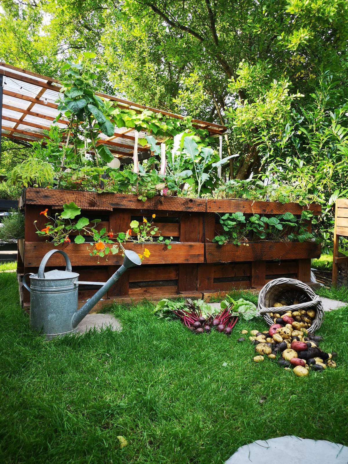 hochbeet aus paletten selber bauen