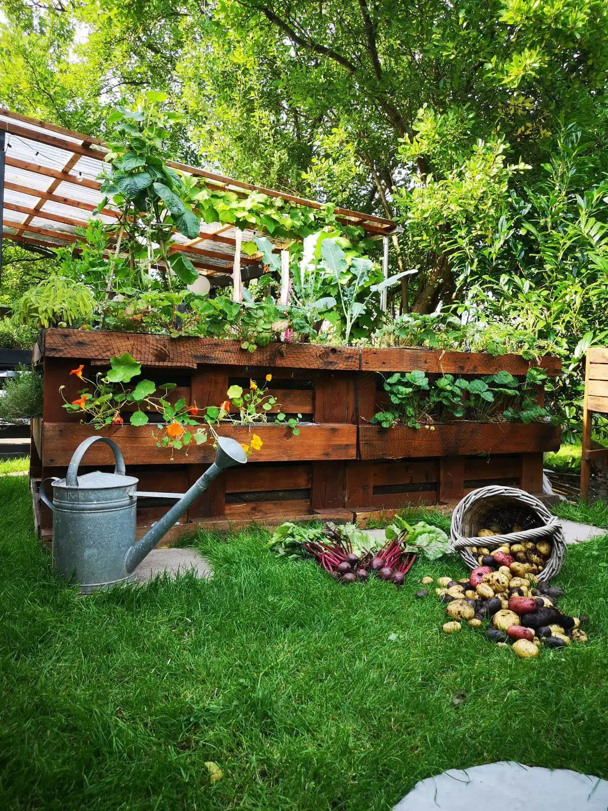 hochbeet aus paletten selber bauen
