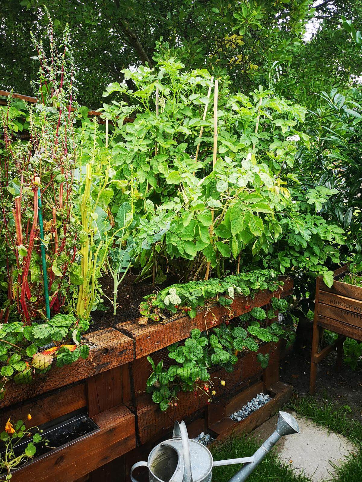 kraeuter und pflanzen fuer hochbeet