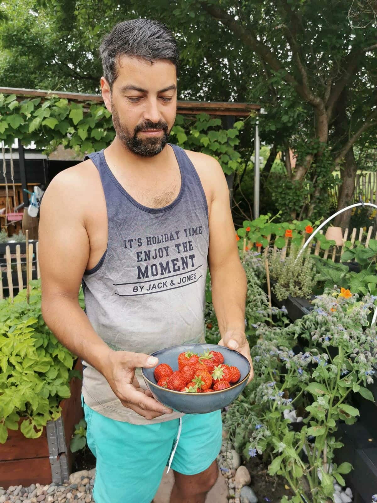 paletten hochbeet ernte bepflanzen