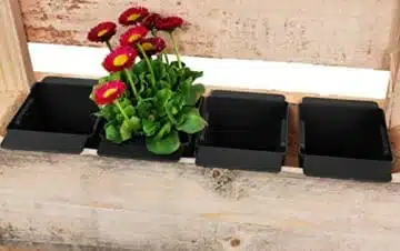 pflanzkasten-paletten-einsatz-pflanzeinsatz-blumenkasten