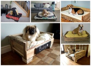 Hundebett-Hundekörbchen aus Paletten-Möbel