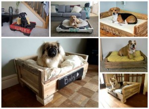 Hundebett-Hundekörbchen aus Paletten-Möbel